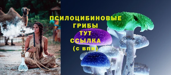 соль ск Аркадак
